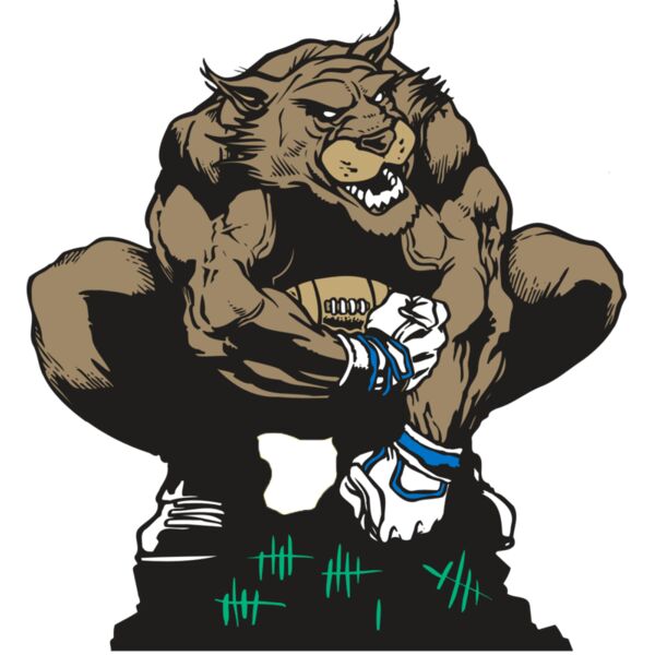 AR WILDCAT 34 RC Thumbnail