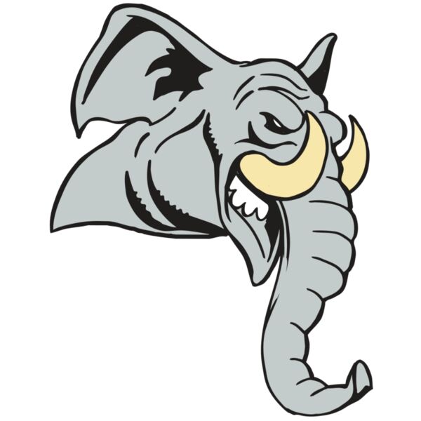 AR5 Elephant 12 RQC Thumbnail