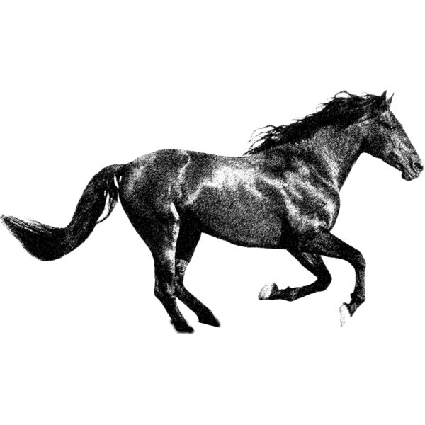 Graphic pen Thumbnail